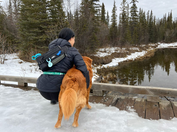 Female and dog on a bridge in a park Calgary Alberta