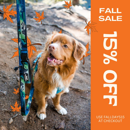 FALL SALE