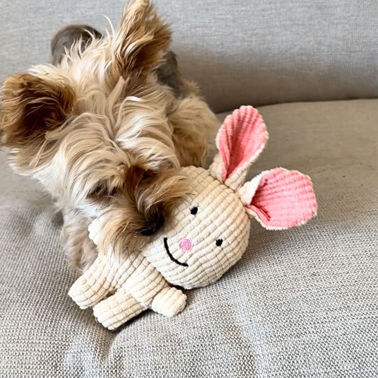 Favourite Bunny Plush Dog Toy
