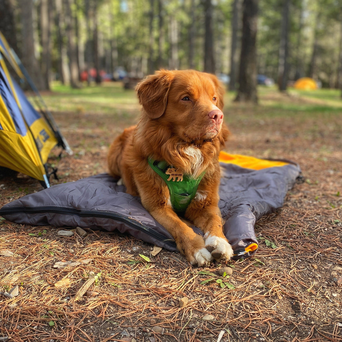 Yukon Dog Sleeping Bag