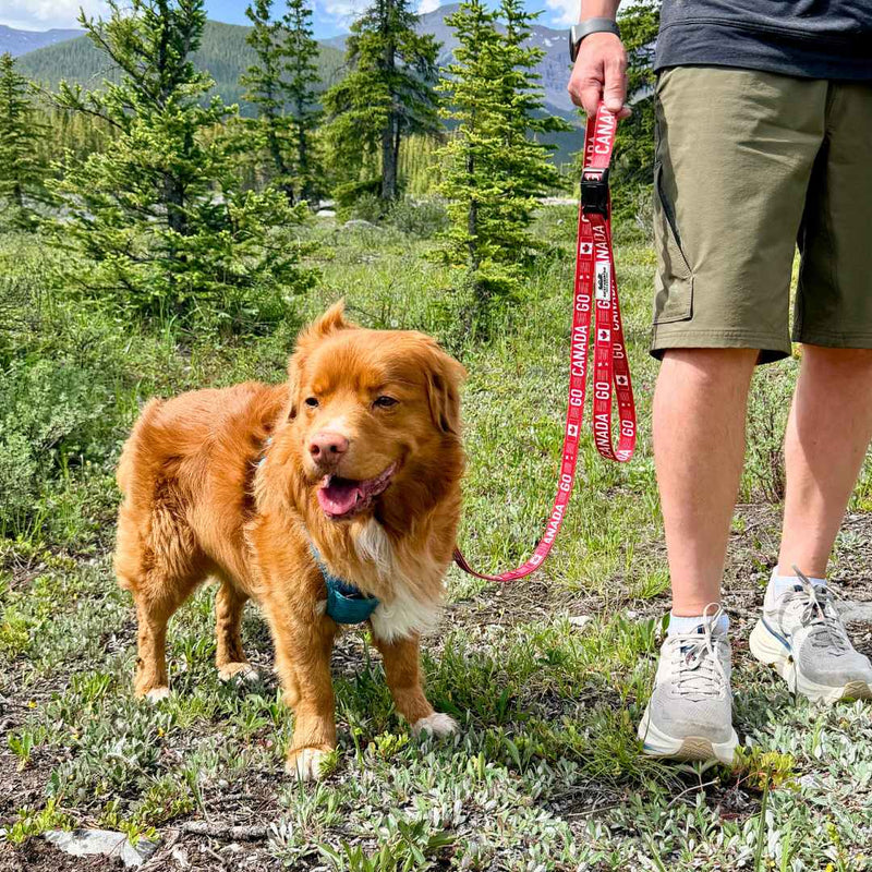 Load image into Gallery viewer, Go Canada Go Dog Leash
