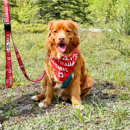 Go Canada Go Dog Bandana