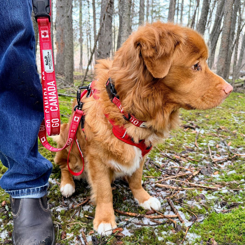 Load image into Gallery viewer, Go Canada Go Dog Leash
