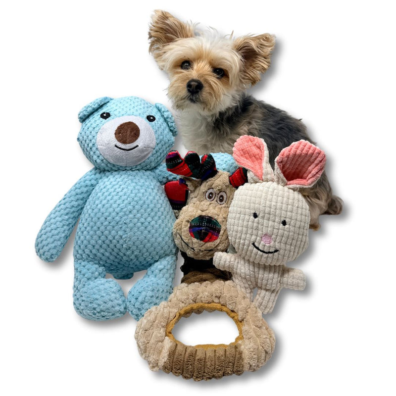 Load image into Gallery viewer, Big Bear Plush Dog Toy
