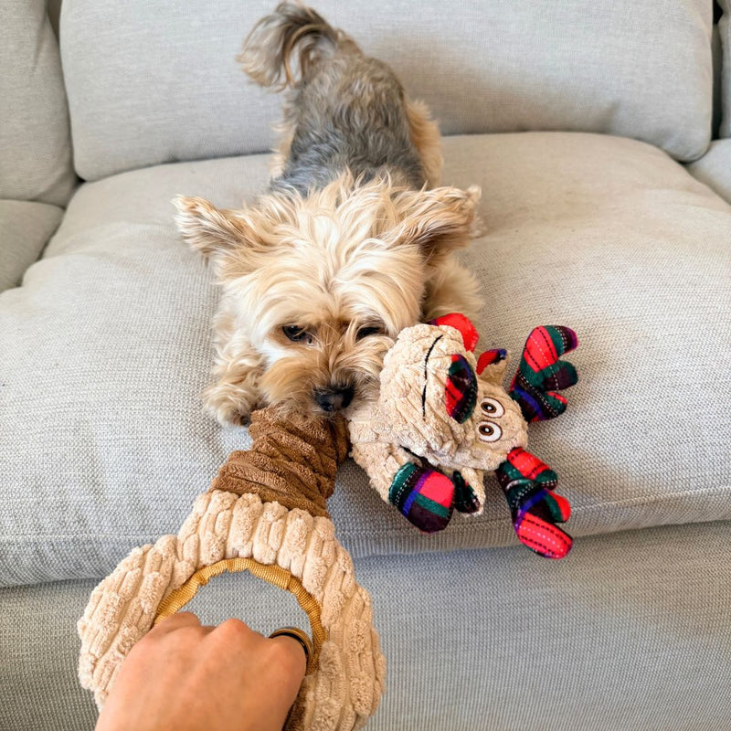 Load image into Gallery viewer, Happy Moose Stretchy Dog Toy
