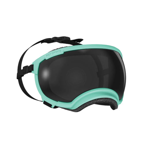 V2 Small Dog Goggles