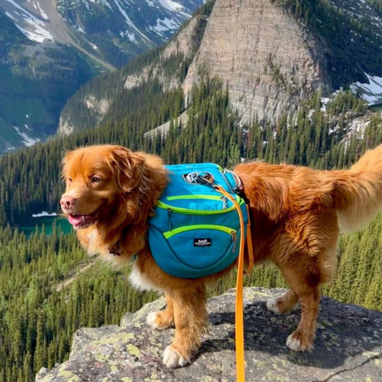 (Used) Mountaineer Dog Backpack & Stand-Alone Harness
