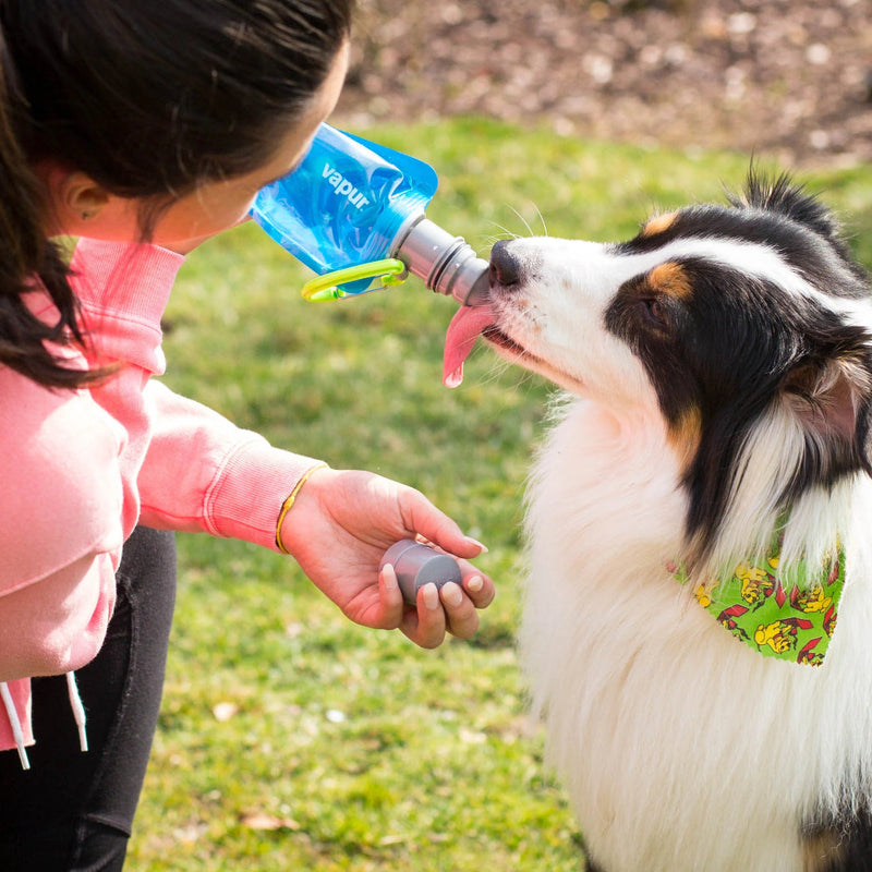 Load image into Gallery viewer, Person interacting with a dog using a water bottle in an outdoor setting
