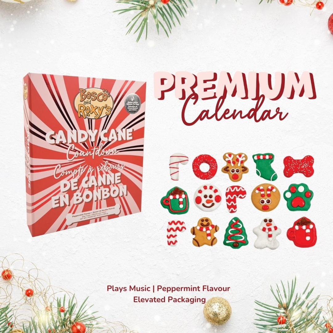 Premium Musical Advent Calendar - 24 Days of Treats