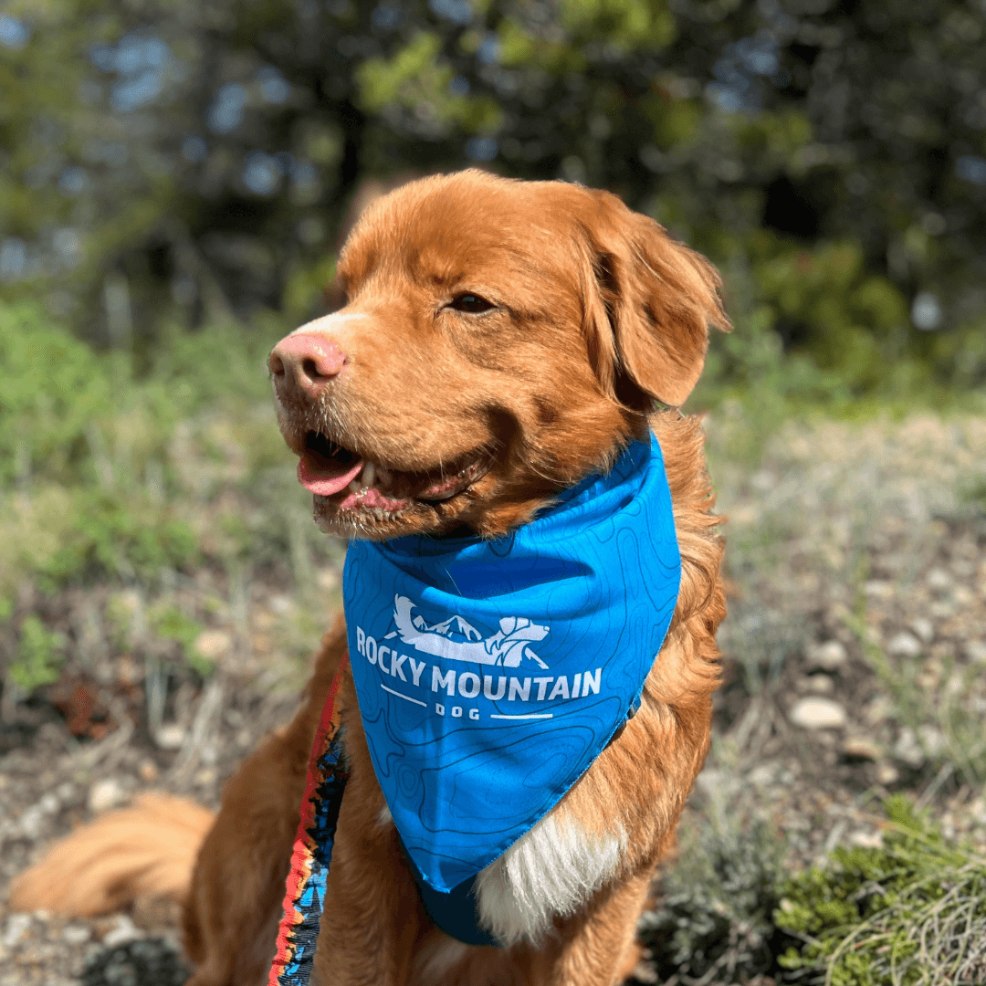 RMD Bandana