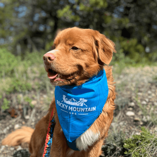 RMD Bandana