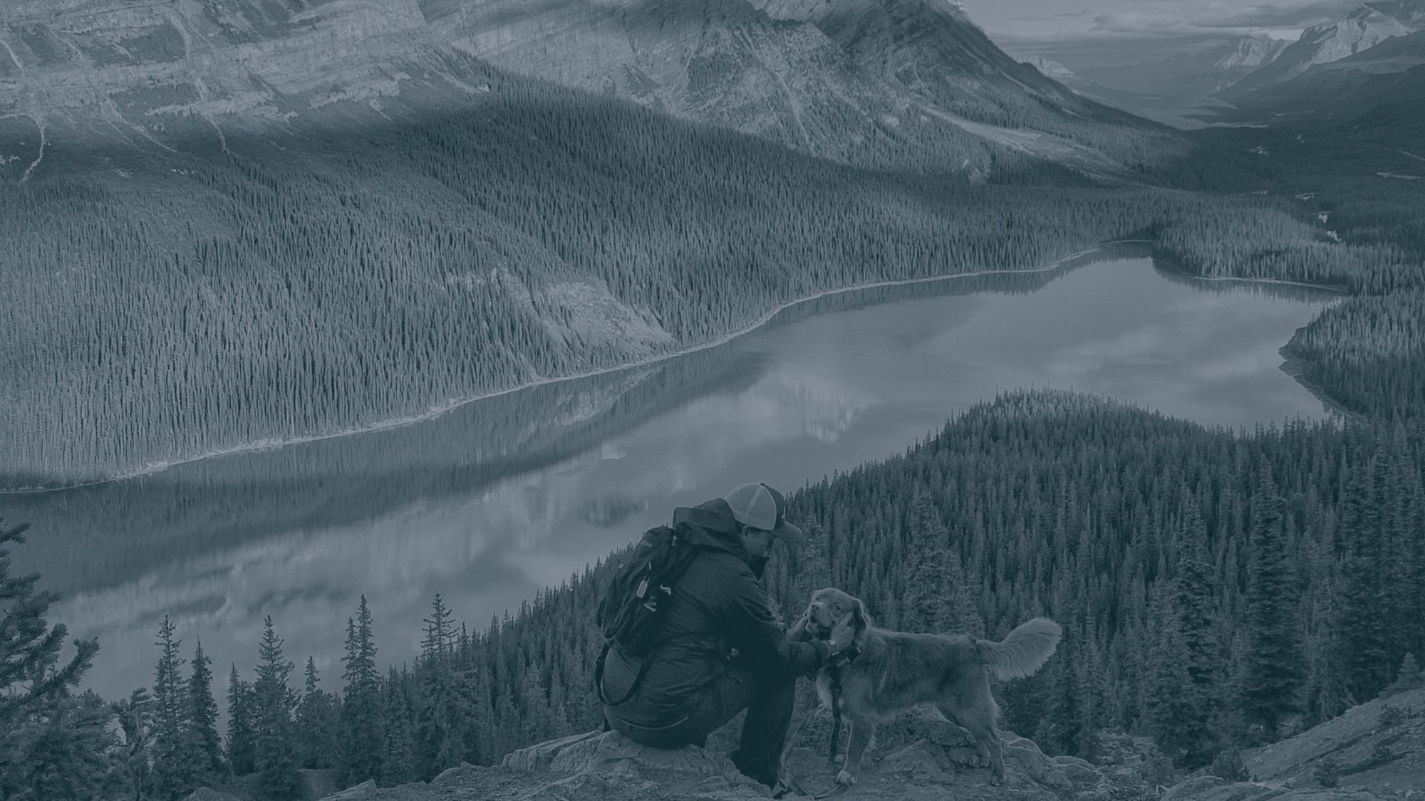 10 Of The Best Banff Hikes to Enjoy with your Dog | Rocky Mountain Dog