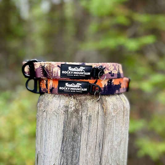 Ranger Alpine Collar