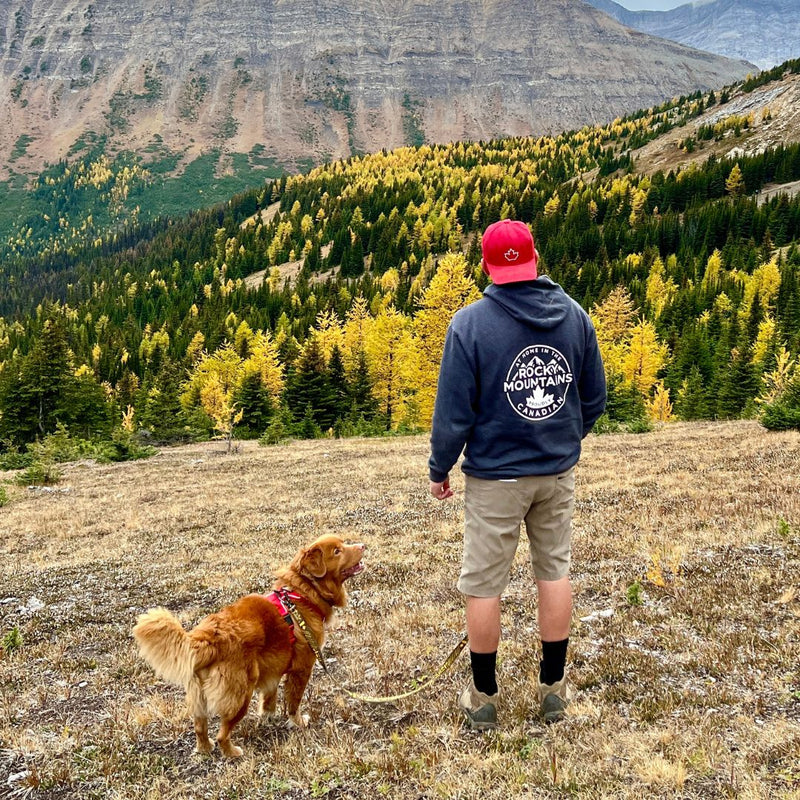 Load image into Gallery viewer, male and dog hiking in the fall with larch trees kananaskis alberta
