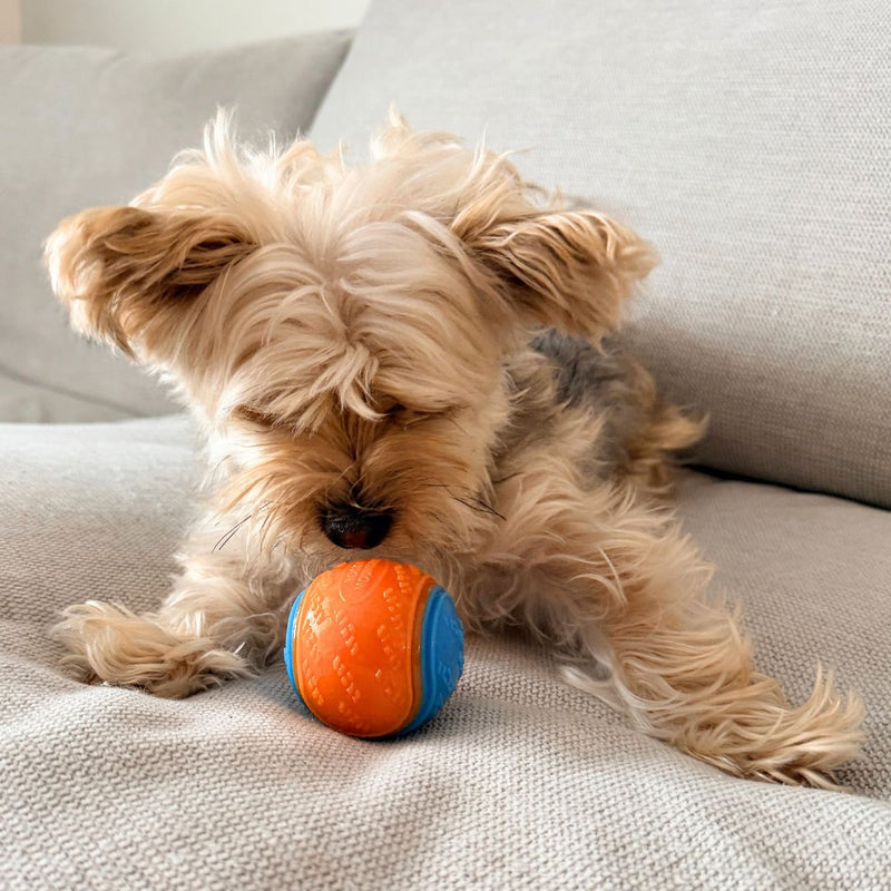 Load image into Gallery viewer, Rocky Mountain Dog Toy Ball
