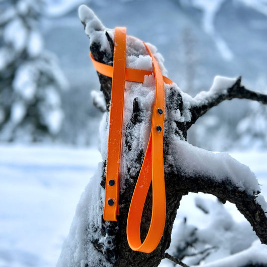 orange biothane dog leash hanging from a snow covered tree