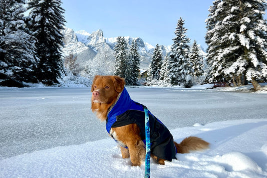 BUNDLE UP FOR WINTER