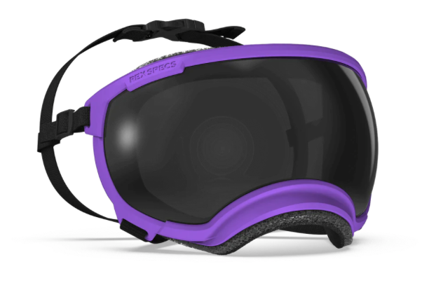 V2 Small Dog Goggles - Rocky Mountain Dog