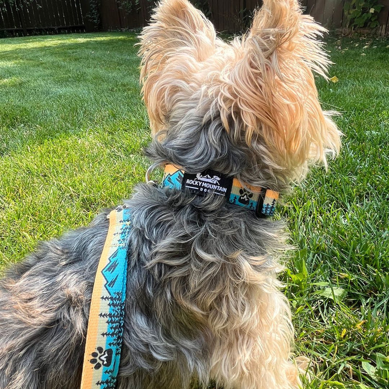 Load image into Gallery viewer, Paw Mountain Dog Collar - Rocky Mountain Dog
