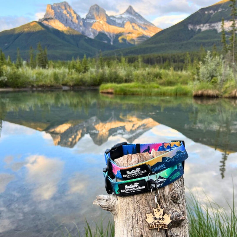 Load image into Gallery viewer, V2 Canmore Alpine Dog Collar - Rocky Mountain Dog
