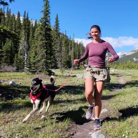 Running With Your Dog: The Complete Guide to Gear, Training & Trail Safety