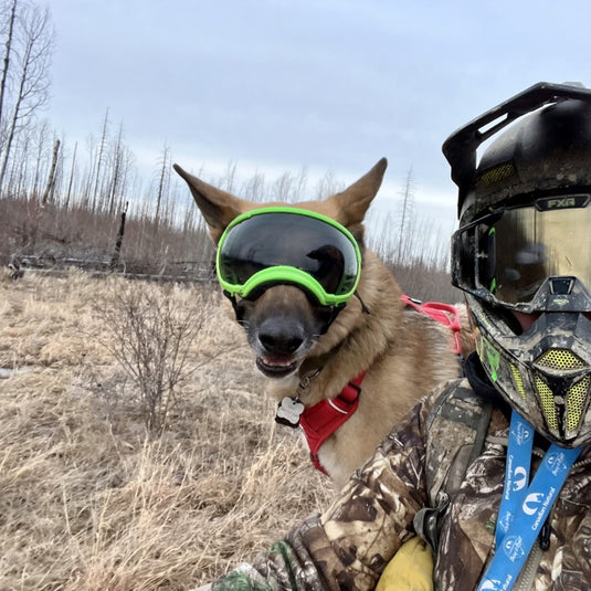 Dog Goggles: What Are They for, and Does Your Dog Need Them?