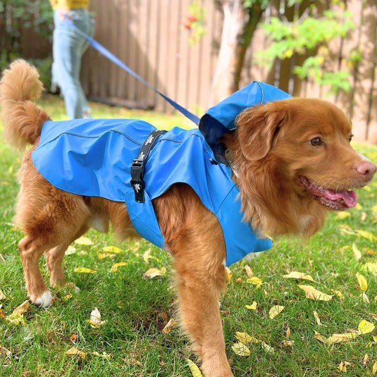Dog Walking Women's Long Waterproof Coat Womens Raincoat Long