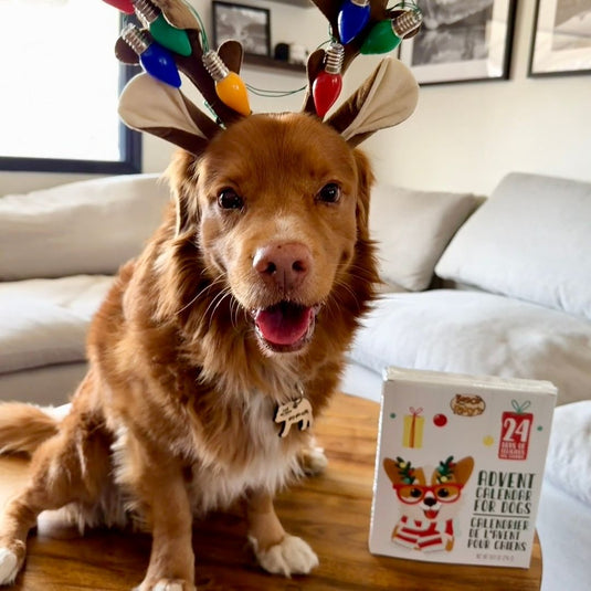 Essential Advent Calendar - 24 Days of Treats