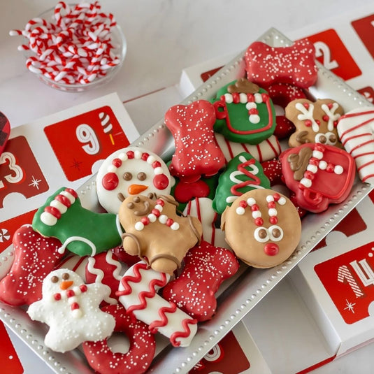 Premium Musical Advent Calendar - 24 Days of Treats