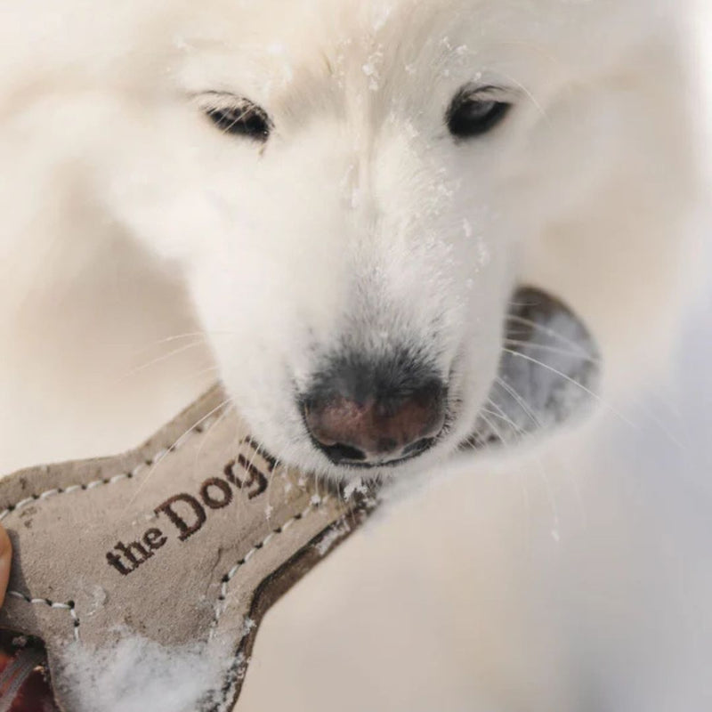 Load image into Gallery viewer, Dog Bone Toy
