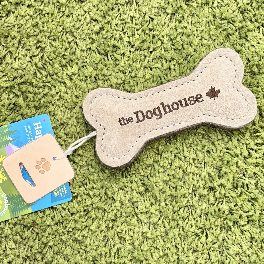 Dog Bone Toy
