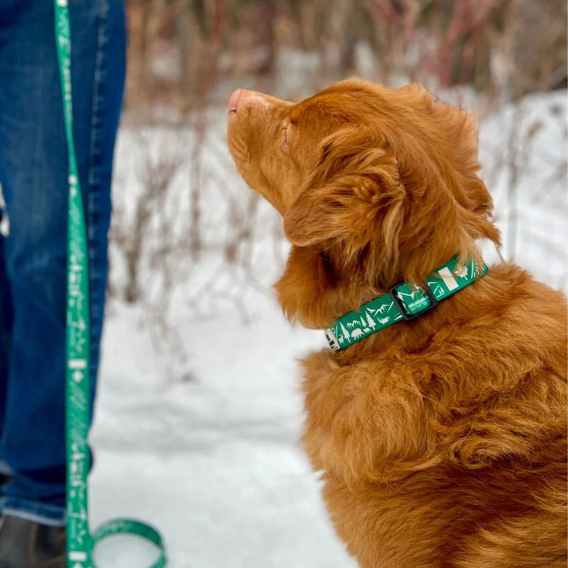 Load image into Gallery viewer, (Used) Canadian Rockies Dog Collar
