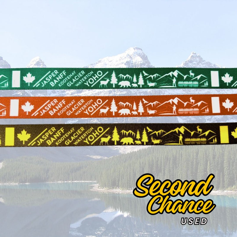 Load image into Gallery viewer, (Used) Canadian Rockies Dog Collar
