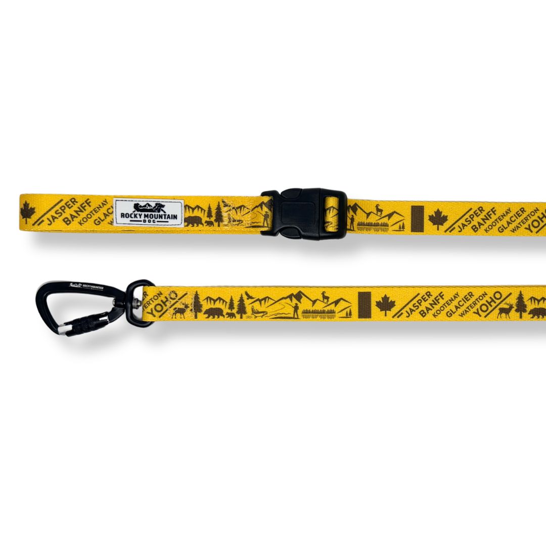 Discover the Canadian Rockies with this Dog Leash – Rocky Mountain Dog
