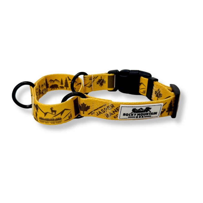 Load image into Gallery viewer, Canadian Rockies Martingale Clip Collar
