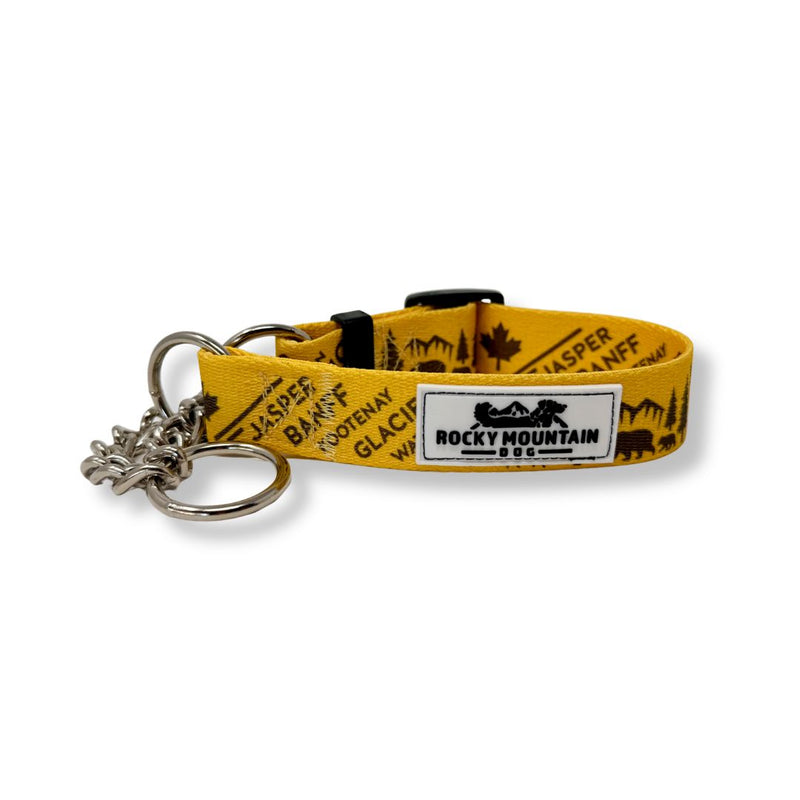 Load image into Gallery viewer, Canadian Rockies Martingale Collar
