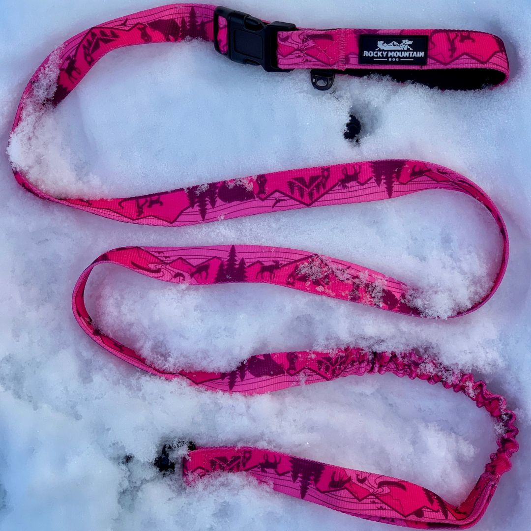 Cascade All Mountain Dog Leash