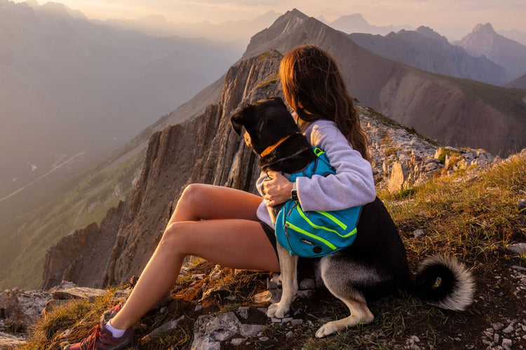 MOUNTAINEER DOG BACKPACK