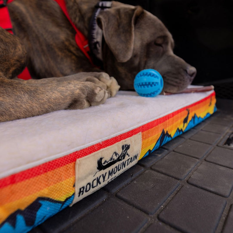 Load image into Gallery viewer, Memory Foam Dog Bed
