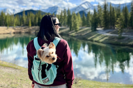 DOG CARRYING BACKPACKS