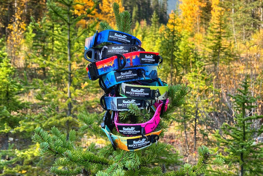 DOG COLLARS