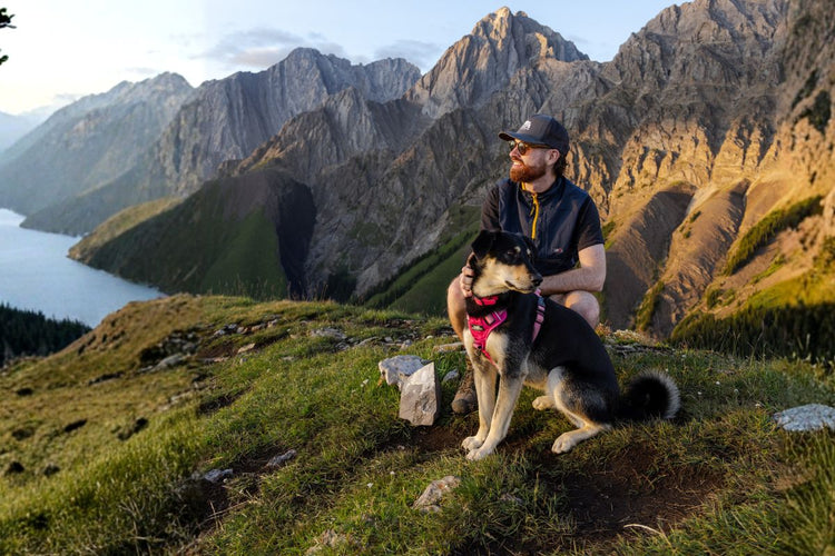 DOG DAD SALE