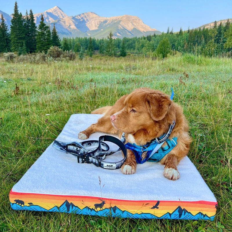 Load image into Gallery viewer, Memory Foam Dog Bed
