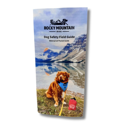 Dog Safety First Aid Field Guide