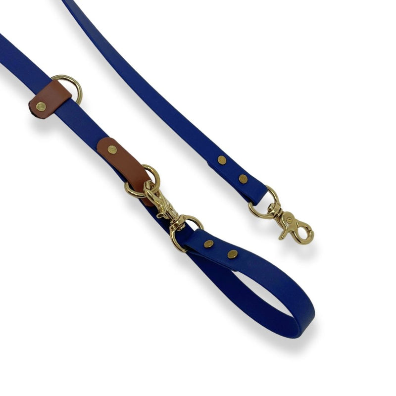 Blue leash best sale