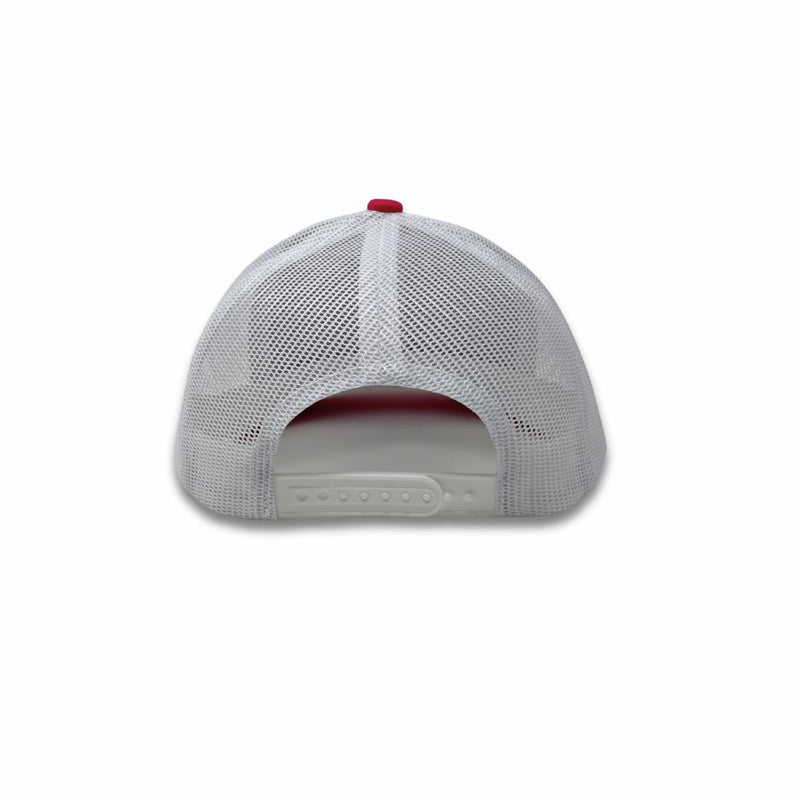 Load image into Gallery viewer, Journey Hat - Rocky Mountain Dog
