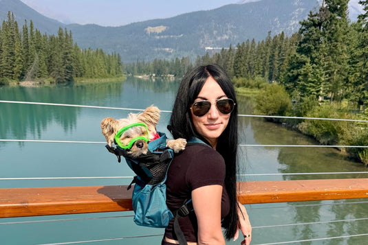 REXSPECS & K9 SPORT SACKS