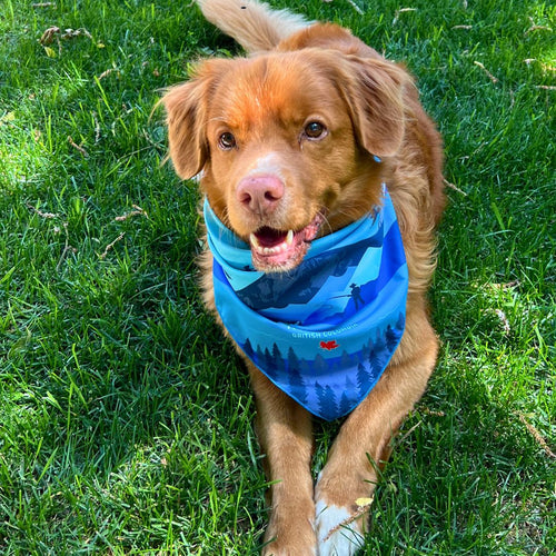 Kootenay Bandana