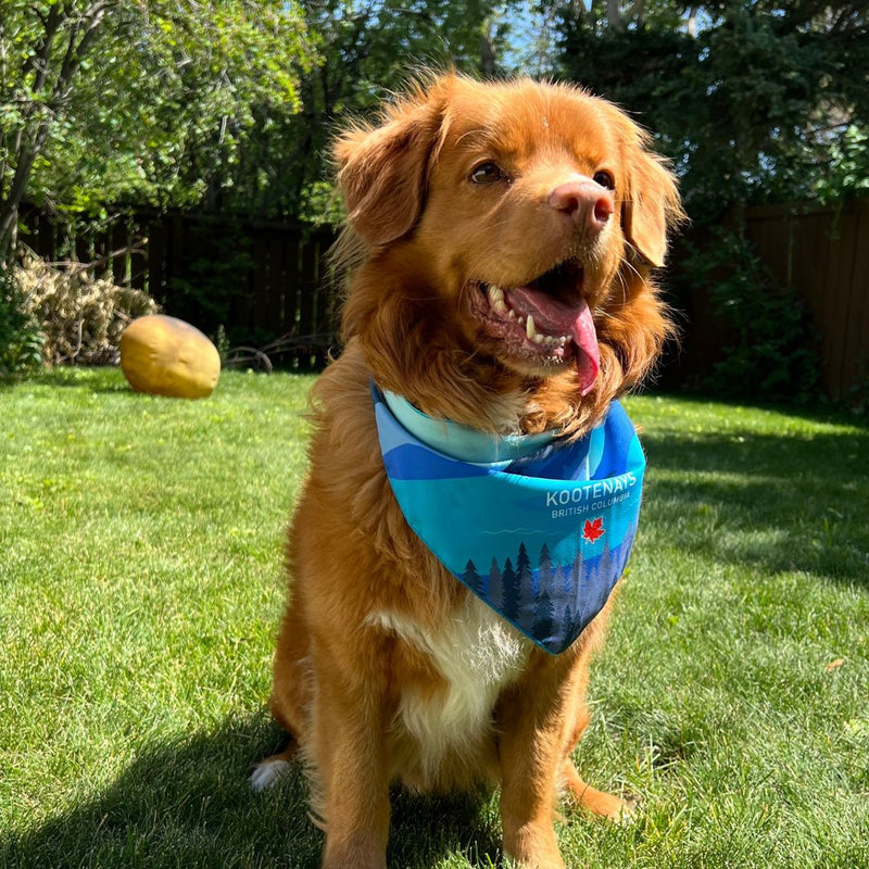 Load image into Gallery viewer, Kootenay Bandana - Rocky Mountain Dog
