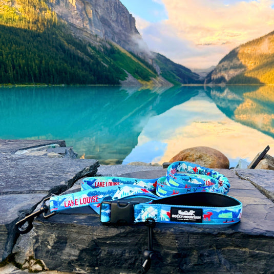 Lake Louise All Mountain Dog Leash